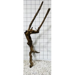 Mangrovewood 456