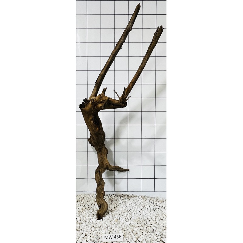 Mangrovewood 456