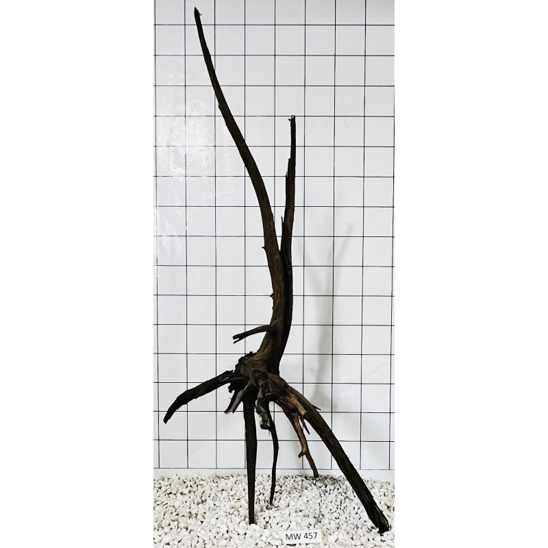Mangrovewood 457