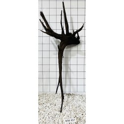 Mangrovewood 457