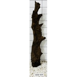 Mangrovewood 459