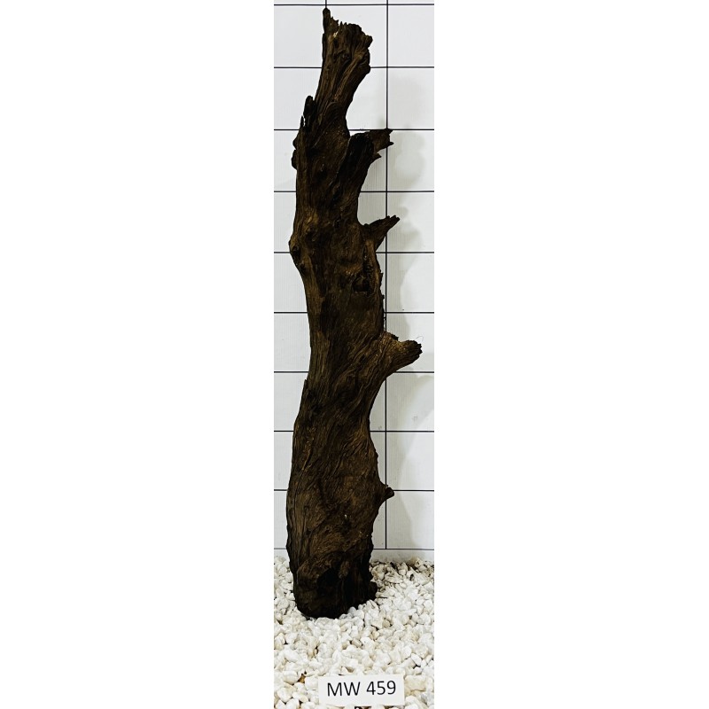 Mangrovewood 459