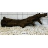 Mangrovewood 459