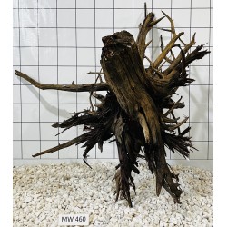 Mangrovewood 460