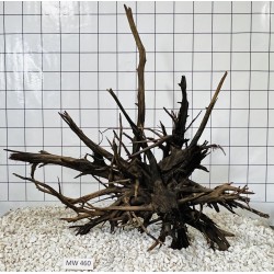 Mangrovewood 460