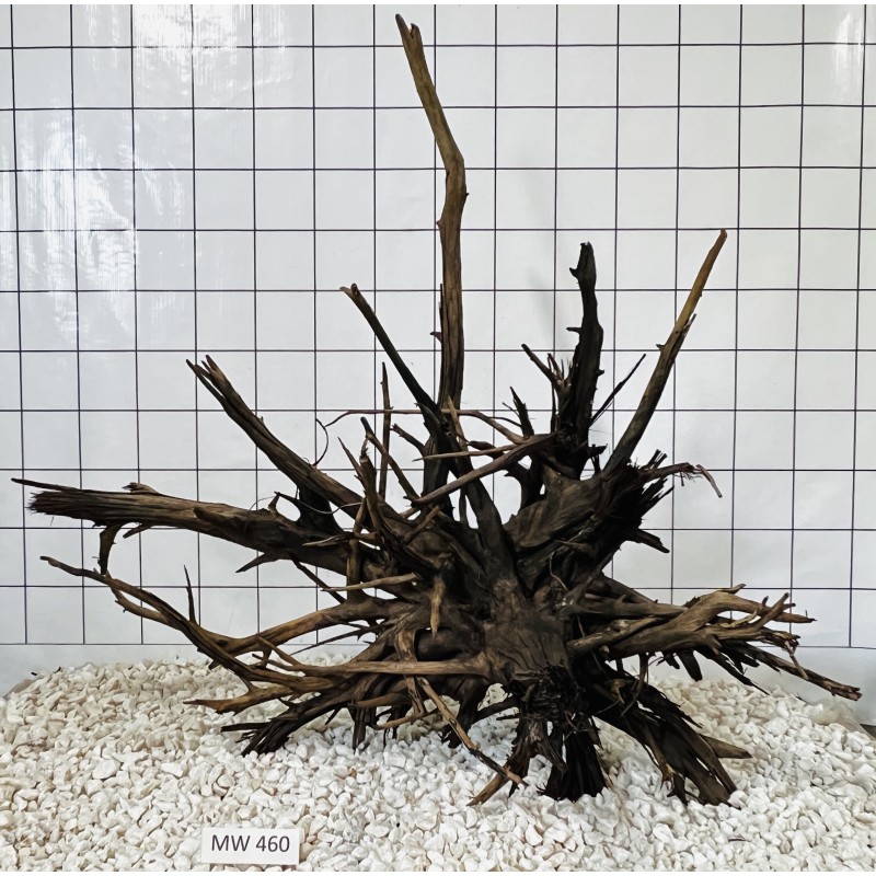 Mangrovewood 460
