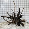 Mangrovewood 460