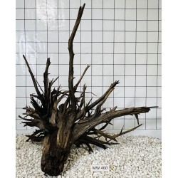 Mangrovewood 460