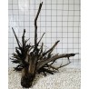 Mangrovewood 460