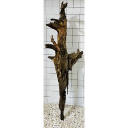 Mangrovewood 461