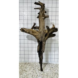 Mangrovewood 461