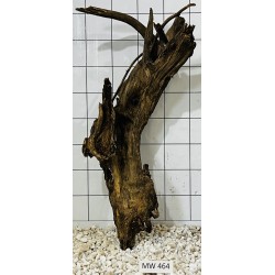 Mangrovewood 464