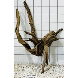 Mangrovewood 465