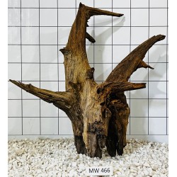 Mangrovewood 466
