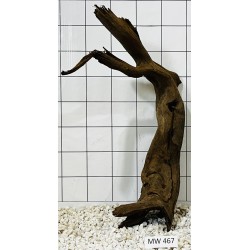 Mangrovewood 467