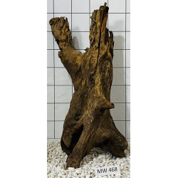 Mangrovewood 468