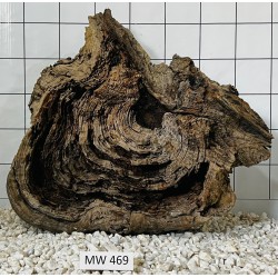 Mangrovewood 469