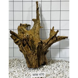 Mangrovewood 470