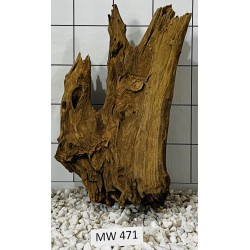 Mangrovewood 471