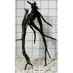 Mangrovewood 472