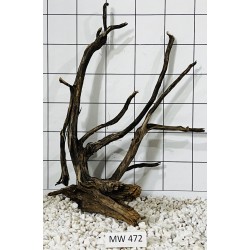 Mangrovewood 472