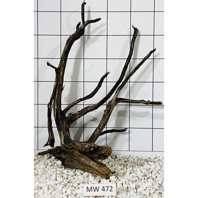 Mangrovewood 472