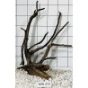 Mangrovewood 472