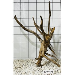 Mangrovewood 473