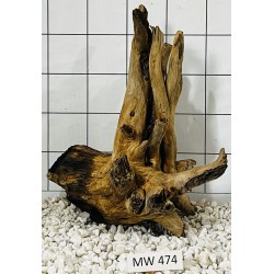 Mangrovewood 474