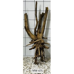 Mangrovewood 475