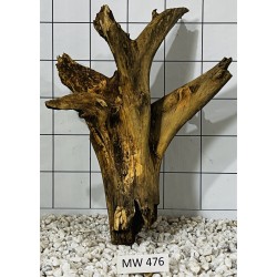 Mangrovewood 476