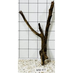 Mangrovewood 477