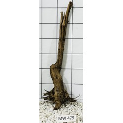 Mangrovewood 479