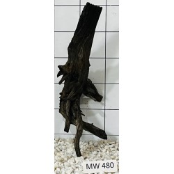 Mangrovewood 480