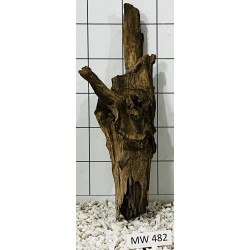 Mangrovewood 482