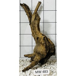 Mangrovewood 483