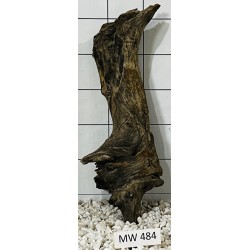 Mangrovewood 484