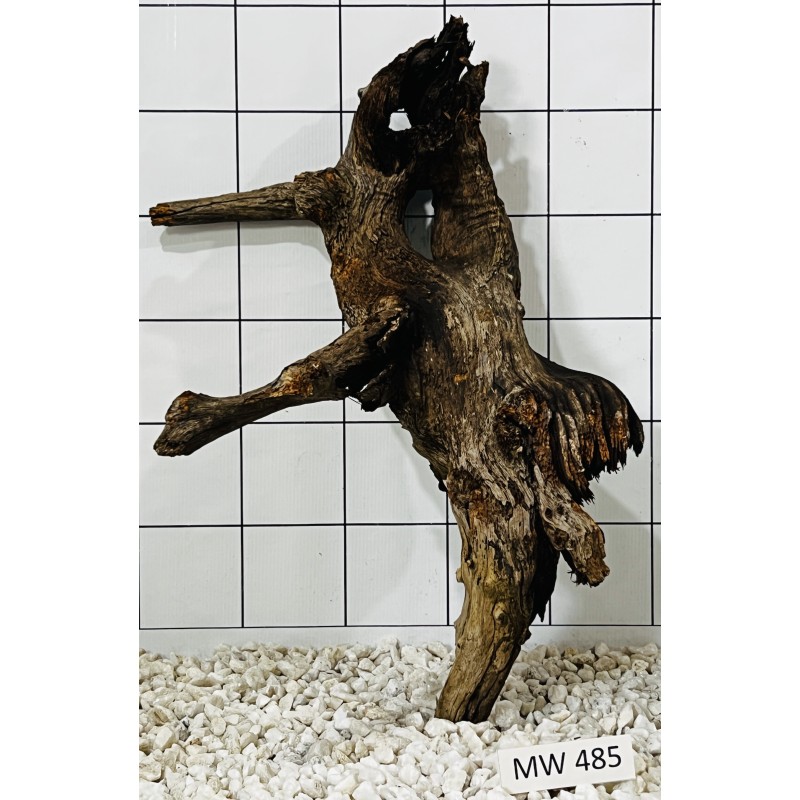 Mangrovewood 485