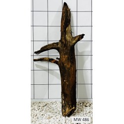 Mangrovewood 486