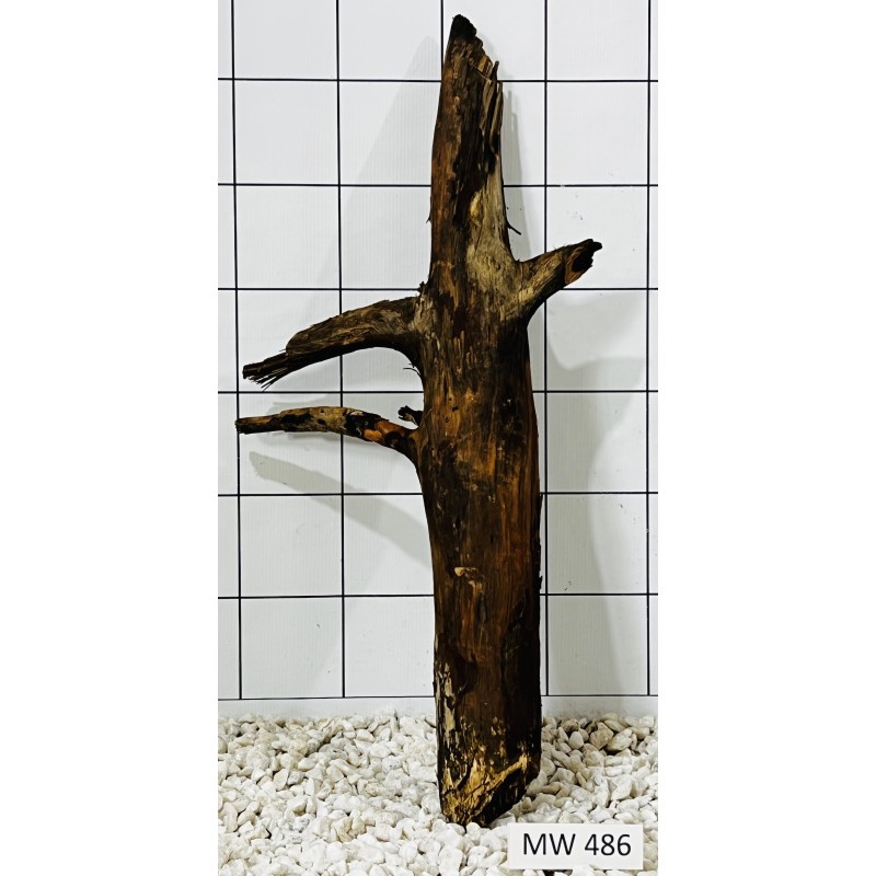 Mangrovewood 486