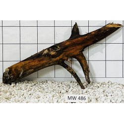 Mangrovewood 486
