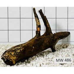 Mangrovewood 486