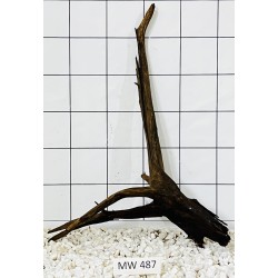 Mangrovewood 487