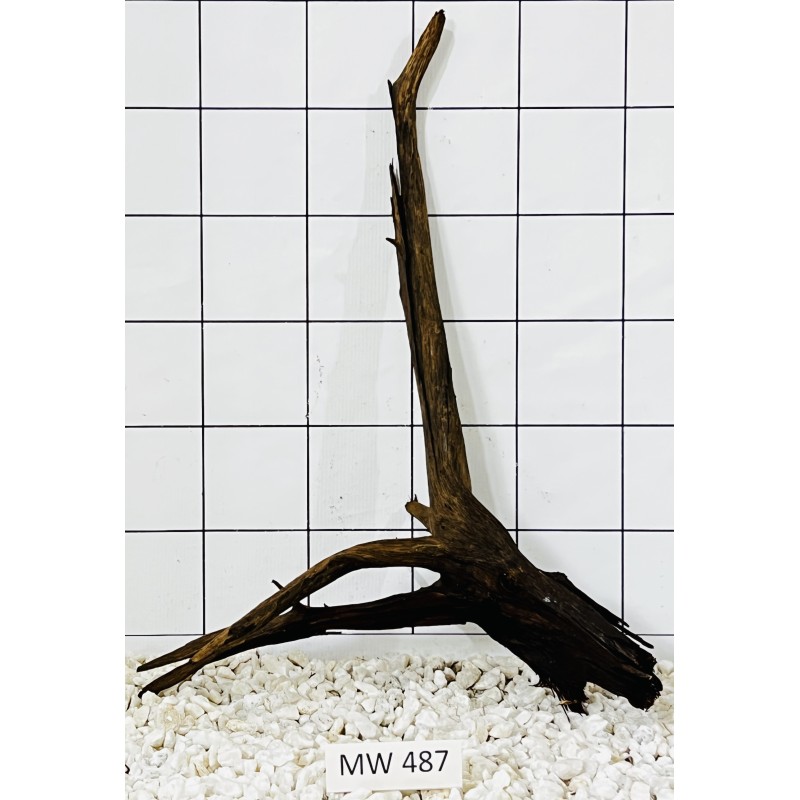 Mangrovewood 487