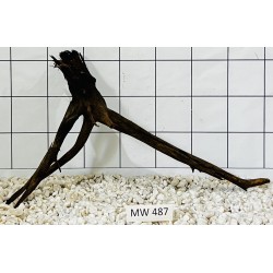 Mangrovewood 487