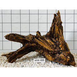 Mangrovewood 488