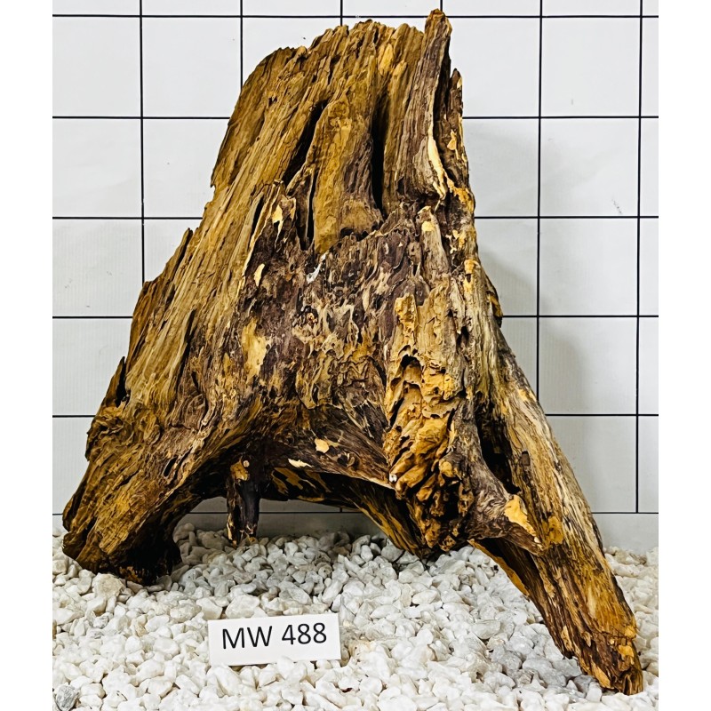 Mangrovewood 488