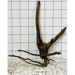 Mangrovewood 489