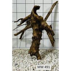 Mangrovewood 491