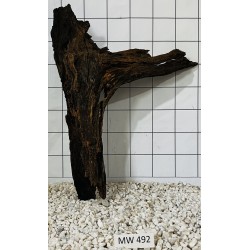 Mangrovewood 492
